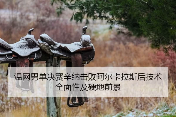 wen-wang-nan-dan-jue-sai-xin-na-ji-bai-a-er-ka-la-si-hou-ji-shu-quan-mian-xing-ji-ying-di-qian-jing-2-858.jpg