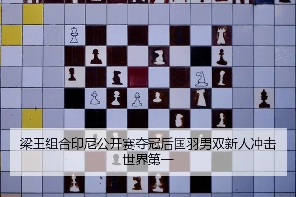 liang-wang-zu-he-yin-ni-gong-kai-sai-duo-guan-hou-guo-yu-nan-shuang-xin-ren-chong-ji-shi-jie-di-yi-3-111.jpg
